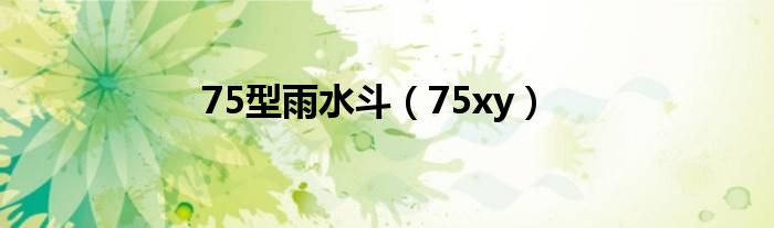 天博tb综合体育75型雨水斗（75xy）(图1)